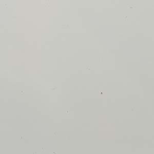 Reflections Whi Tepool Colour